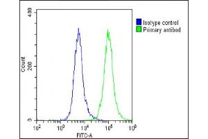 Overlay histogram showing U-87 MG cells stained with (ABIN6243047 and ABIN6578879)(green line). (APLP1 抗体  (AA 505-539))