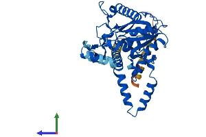 AlphaFold protein structure predicition of Mouse Recombinant Dgat2 Protein, UniprotID Q9DCV3