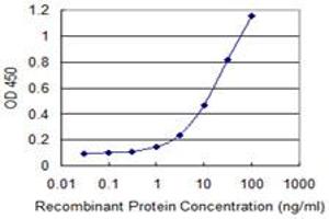 Detection limit for recombinant GST tagged NT5E is 0. (CD73 抗体  (AA 28-264))
