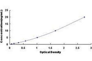 Multimerin 1 (MMRN1) ELISA Kit