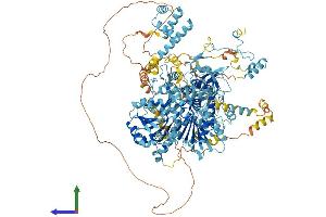 Protein Structure (PS) image for DEAH (Asp-Glu-Ala-His) Box Polypeptide 8 (DHX8) (AA 1-1244) protein (His tag) (ABIN7561863)