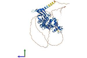 Protein Structure (PS) image for Cell Division Cycle 7 (CDC7) (AA 1-564) protein (His tag) (ABIN7556347)