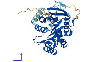 Protein Structure (PS) image for Lipid Droplet-Associated Hydrolase (LDAH) (AA 1-325) protein (His tag) (ABIN7548952)
