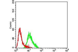 Flow cytometric analysis of SK-N-SH cells using GRM2 mouse mAb (green) and negative control (red). (GRM2 抗体  (AA 414-558))