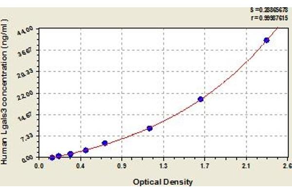 Galectin 3 ELISA 试剂盒