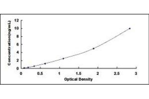 Typical standard curve (BAF53A ELISA 试剂盒)