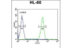 Flow cytometric analysis of HL-60 cells (right histogram) compared to a negative control cell (left histogram).
