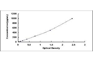 Typical standard curve (FGF8 ELISA 试剂盒)