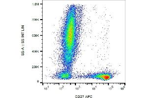 Flow cytometry analysis (surface staining) of human peripheral blood cells with anti-human CD27 (LT27) APC. (CD27 抗体  (APC))