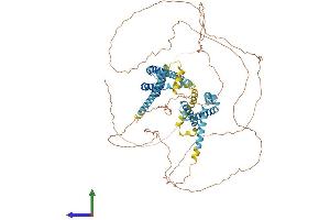 AlphaFold protein structure predicition of Human Recombinant CATSPER1 Protein, UniprotID Q8NEC5 (CATSPER1 Protein (AA 1-780) (His tag))