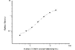 Typical standard curve (Cyclin D1 ELISA 试剂盒)