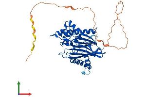 Protein Structure (PS) image for Integrin-Linked Kinase-Associated Serine/threonine Phosphatase 2C (ILKAP) (AA 1-392) protein (His tag) (ABIN7559629)