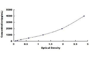 Typical standard curve (Angiopoietin 2 ELISA 试剂盒)