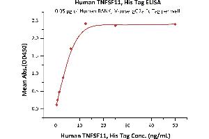ELISA image for Tumor Necrosis Factor (Ligand) Superfamily, Member 11 (TNFSF11) (AA 64-245) (Active) protein (His tag) (ABIN5674645)
