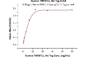 Immobilized Human RANK, Mouse IgG2a Fc Tag, low endotoxin (ABIN5954944,ABIN6253593) at 0. (RANKL Protein (AA 64-245) (His tag))