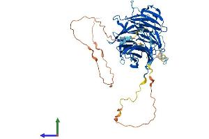 Protein Structure (PS) image for Retinoblastoma Binding Protein 5 (RBBP5) (AA 1-538) protein (His tag) (ABIN7551255)