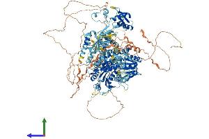 AlphaFold protein structure predicition of Mouse Recombinant Sbno2 Protein, UniprotID Q7TNB8