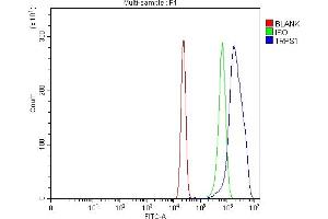 Flow Cytometry analysis of U20S cells using anti-TRPS1 antibody (ABIN7601443). (TRPS1 抗体  (AA 353-1257))
