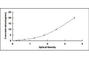 Typical standard curve (TWSG1 ELISA 试剂盒)