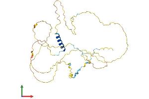 Protein Structure (PS) image for RAD51-Interacting Protein (RAD51AP1) (AA 1-337) protein (His tag) (ABIN7559145)