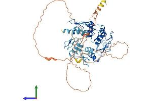 Protein Structure (PS) image for Zinc Finger Protein 35 (ZNF35) (AA 1-527) protein (His tag) (ABIN7545363)