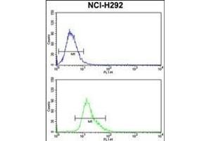 KYNU Antibody (C-term) (ABIN390735 and ABIN2841003) flow cytometry analysis of NCI- cells (bottom histogram) compared to a negative control cell (top histogram). (KYNU 抗体  (C-Term))