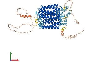 Protein Structure (PS) image for Solute Carrier Family 2 (Facilitated Glucose Transporter), Member 12 (SLC2A12) (AA 1-622) protein (His tag) (ABIN7558502)