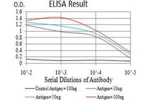 Black line: Control Antigen (100 ng);Purple line: Antigen (10ng); Blue line: Antigen (50 ng); Red line:Antigen (100 ng) (DDX1 抗体  (AA 642-740))