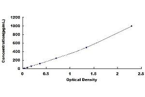 Typical standard curve (ADAMTS5 ELISA 试剂盒)