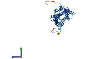 Protein Structure (PS) image for Lysophosphatidic Acid Receptor 5 (LPAR5) (AA 1-372) protein (His tag) (ABIN7556972)