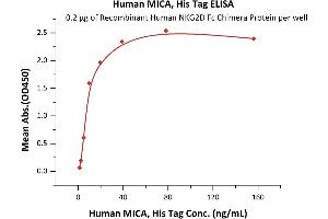 Immobilized Recombinant Human NKG2D Fc Chimera Protein at 2 μg/mL (100 μL/well) can bind Human MICA, His Tag (ABIN2181503,ABIN2181502) with a linear range of 1-20 ng/mL (QC tested). (MICA Protein (AA 24-308) (His tag))