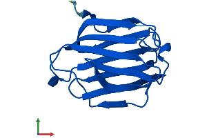 Protein Structure (PS) image for Lectin, Galactoside-Binding, Soluble, 13 (LGALS13) (AA 1-139) protein (His tag) (ABIN7550910)