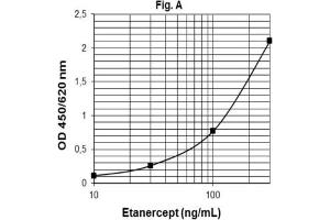 ELISA image for Etanercept ELISA Kit (ABIN2862649)