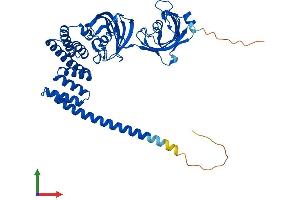 AlphaFold protein structure predicition of Human Recombinant FKBP5 Protein, UniprotID Q13451