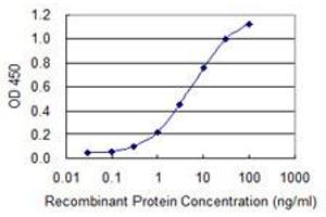Detection limit for recombinant GST tagged EPSTI1 is 0. (EPSTI1 抗体  (AA 1-100))