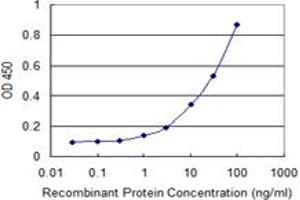 Detection limit for recombinant GST tagged VAT1 is 0. (VAT1 抗体  (AA 294-392))