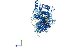 Protein Structure (PS) image for Calpain 8 (CAPN8) (AA 1-703) protein (His tag) (ABIN7559981)