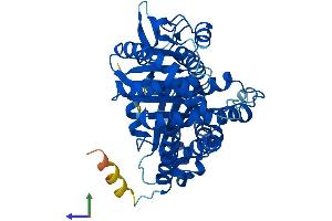 AlphaFold protein structure predicition of Human Recombinant TUBB2A Protein, UniprotID Q13885