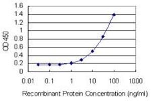 Detection limit for recombinant GST tagged LOC402176 is 1 ng/ml as a capture antibody. (RPL21P44 抗体  (AA 1-136))