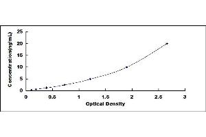 Typical standard curve (KLF10/TIEG1 ELISA 试剂盒)