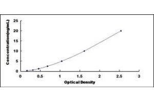 Typical standard curve (C1orf85 ELISA 试剂盒)