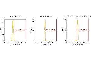 Flow Cytometry (FACS) image for anti-Cofilin 1 (CFL1) (AA 1-166) antibody (PE) (ABIN5567003) (Cofilin 抗体  (AA 1-166) (PE))
