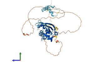 Protein Structure (PS) image for Potassium Channel Tetramerisation Domain Containing 16 (KCTD16) (AA 1-427) protein (His tag) (ABIN7557433)