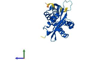 Protein Structure (PS) image for N-Acetyltransferase 8B (GCN5-Related, Putative, Gene/pseudogene) (NAT8B) (AA 1-227) protein (His tag) (ABIN7549725)