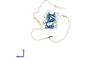 AlphaFold protein structure predicition of Mouse Recombinant Plekha1 Protein, UniprotID Q8BUL6 (PLEKHA1 Protein (AA 1-383) (His tag))