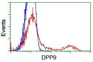 Flow Cytometry (FACS) image for anti-Dipeptidyl-Peptidase 9 (DPP9) antibody (ABIN1497896) (DPP9 抗体)