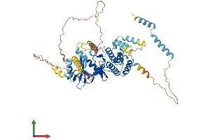 Protein Structure (PS) image for RIO Kinase 1 (RIOK1) (AA 1-568) protein (His tag) (ABIN7551370)
