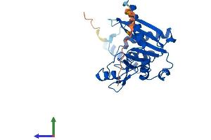 Protein Structure (PS) image for Endonuclease V (ENDOV) (AA 1-282) protein (His tag) (ABIN7547361)