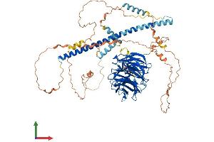 Protein Structure (PS) image for Striatin, Calmodulin Binding Protein 3 (STRN3) (AA 1-796) protein (His tag) (ABIN7561435)