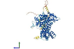 Protein Structure (PS) image for Protein-Kinase, Interferon-Inducible Double Stranded RNA Dependent Inhibitor, Repressor of (p58 Repressor) (PRKRIR) (AA 1-761) protein (His tag) (ABIN7550274)